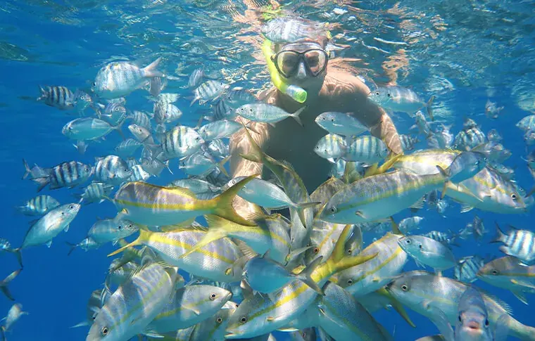 Snorkeler en la playa de Sosúa